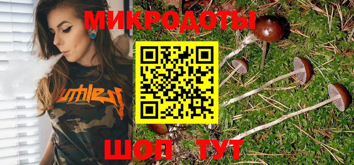 Галлюциногенные грибы GOLDEN TEACHER Клин