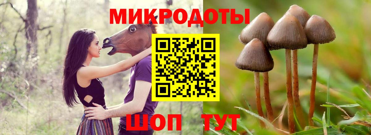 Псилоцибиновые грибы Cubensis  Вход с VPN  Клин  где найти наркотики  Галлюциногенные грибы MAGIC MUSHROOMS 